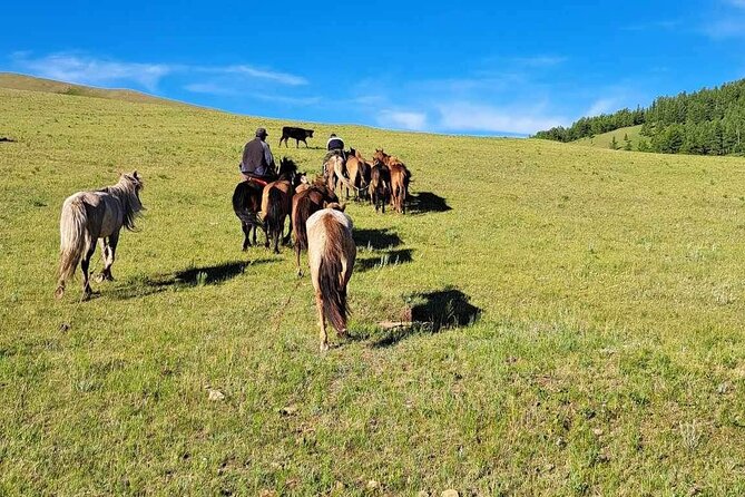 2 Days of Authentic Mongolian Trip Near Ulaanbaatar All-Inclusive - Traveler Requirements