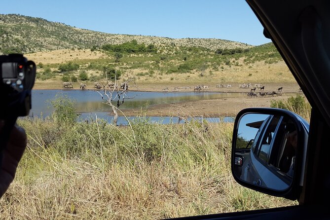 2-Days Pilanesberg Best Chance to View Big 5 With Private Extended Safari - Essential Inclusions