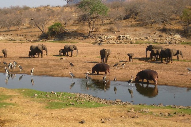 2 Days Ruaha National Park - Health and Safety Considerations