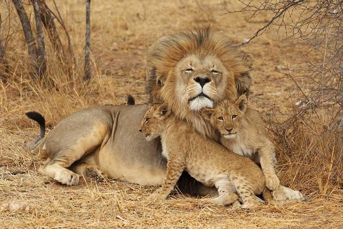2 Days Tarangire and Ngorongoro Safari From Zanzibar - Daily Itinerary