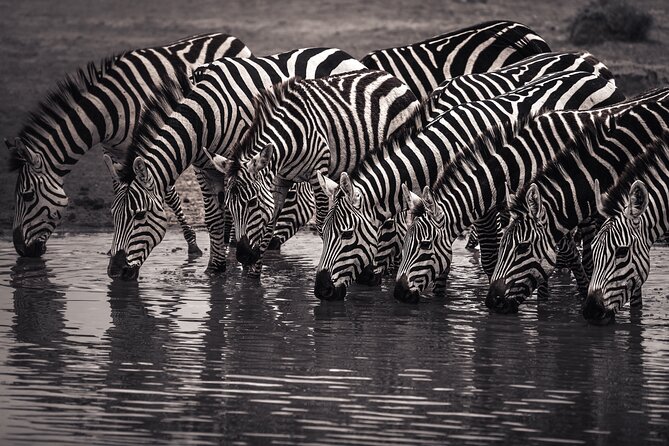 2 Days Tarangire and Ngorongoro Safari Tour in Tanzania - Frequently Asked Questions