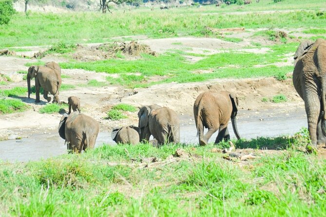 2 Days Tour Tarangire & Ngorongoro - Cancellation Policy