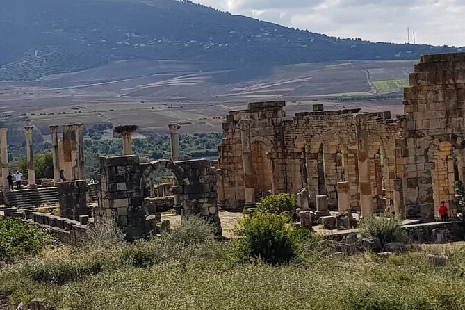2 Days Tours From FEZ to FEZ via Chefchaouen, Meknès , Volubilis - Visiting Volubilis