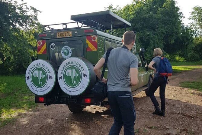 2 Days Trip_Akagera National Park (Wildlife Safari) - Accessibility Considerations