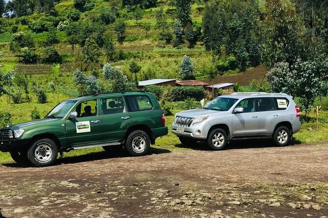 2 Days Uganda Gorilla Trekking - Meeting and Pickup Details