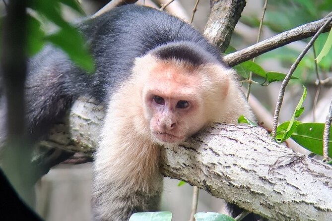 2-Hour Boat Tour in Quepos - Booking and Cancellation Policy