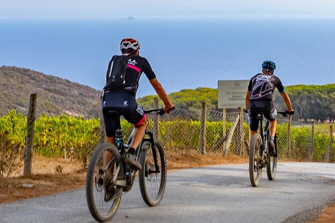 2-Hour E-Bike Tour With Wine Tasting in Tenuta Delle Ripalte - Cancellation Policy