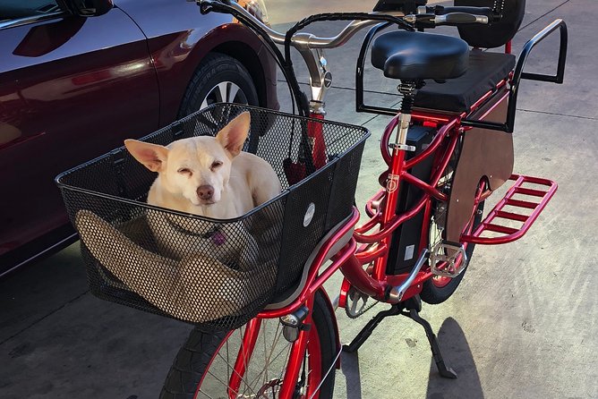 2-Hour Electric Bike Rental in Peoria and Glendale - Accessibility and Transportation Options