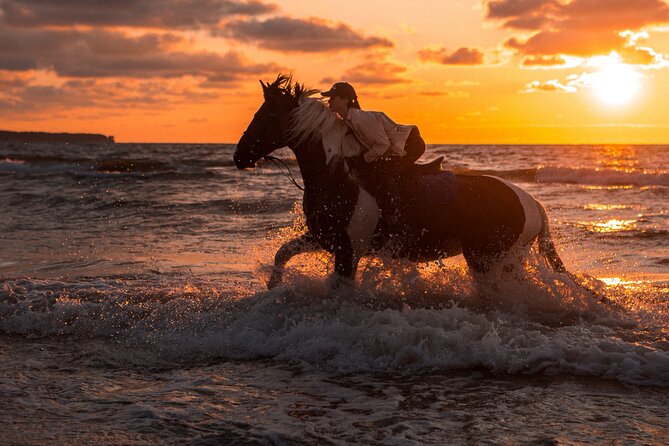 2-Hour Horse Riding Adventure on The Sea and Desert in Hurghada - Host Response and Service Improvements