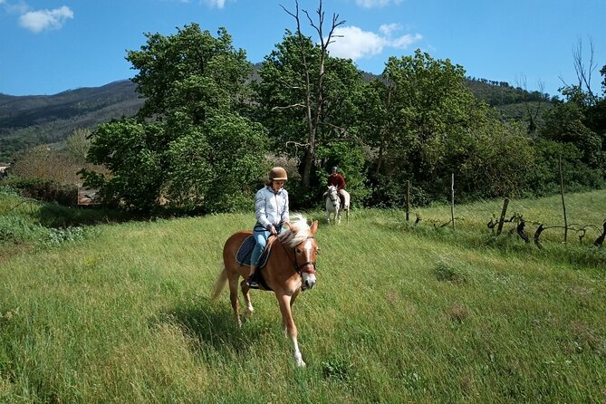2 Hour Horseback Ride for Experts in Valgraziosa (Pisa) - Booking and Cancellation