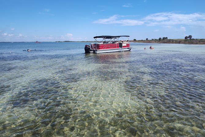 2-Hour Private Dolphin Sightseeing Adventure - Departure and Return