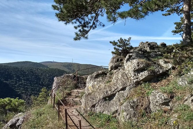 2-Hour Private Hiking Tour on Kalenderberg Mountain to Meet History From Vienna - Appropriate Attire and Equipment for the Hike