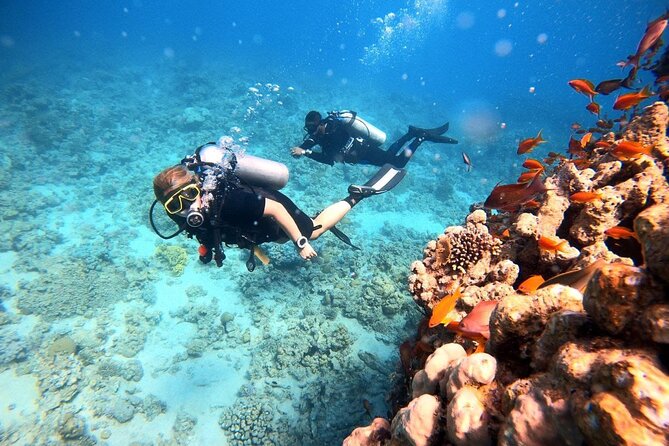 2-Hour Private Scuba Experience in Aqaba - Participation Guidelines