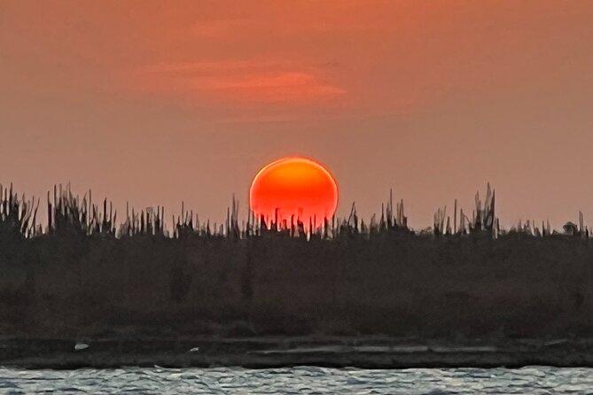 2 Hour Sunset Kayak Tour: War Veterans Memorial Park - Things To Known