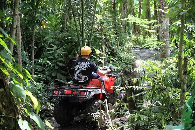 2 Hours Bali ATV Quad Tour - Cancellation Policy