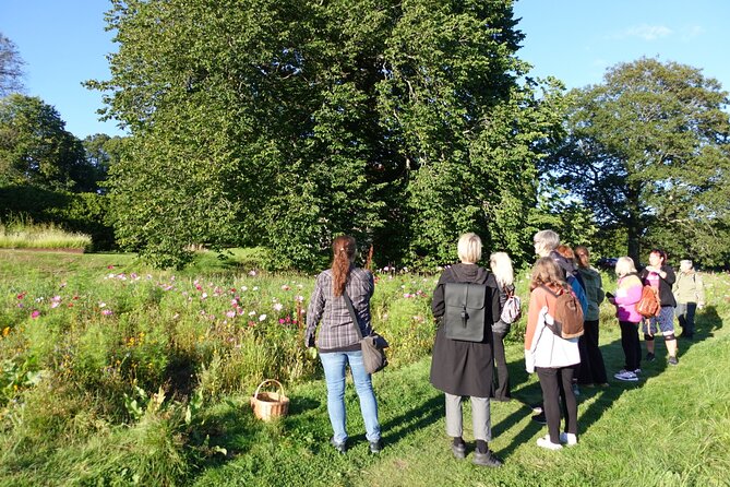 2- Hours Herb Walking Tour - Herbs Identified During the Walk