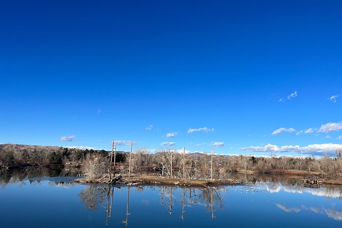 2 Hours of Mindful Bird Watching Near Denver - Equipment and Transportation