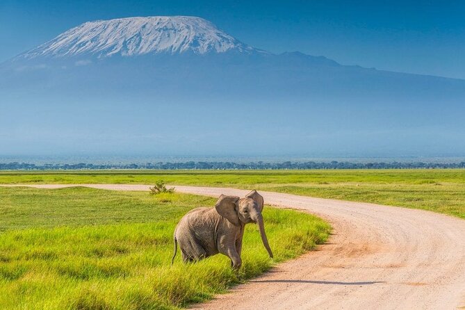 2 Nights 3 Days Amboseli National Park - Highlights of the Itinerary