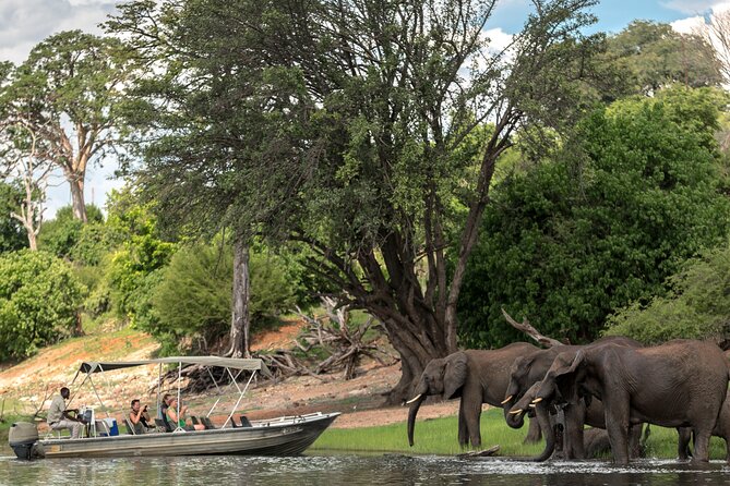 2 Nights 3 Days Chobe Safari Ex Livingstone/ Victoria Falls - Transportation and Pickup Information