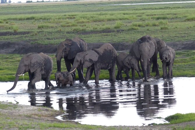 2 Nights 3 Days Overnight Mokoro Trail Okavango Delta - Reviews and Testimonials