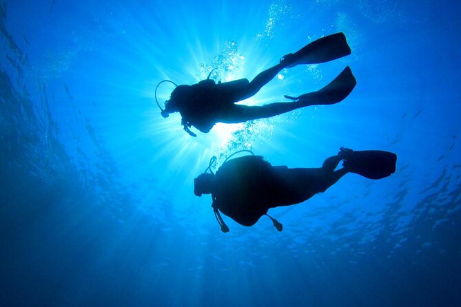 2 Tank Dive (For Certified Divers) - Meeting and End Points