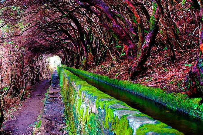 25 Fountains Walk / Lost In The Beautiful Forest - Review Highlights