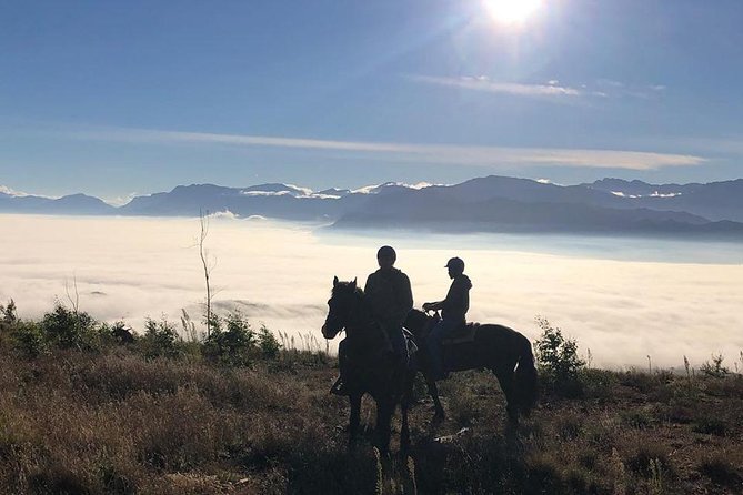 2h – Horse Trail - Booking Information