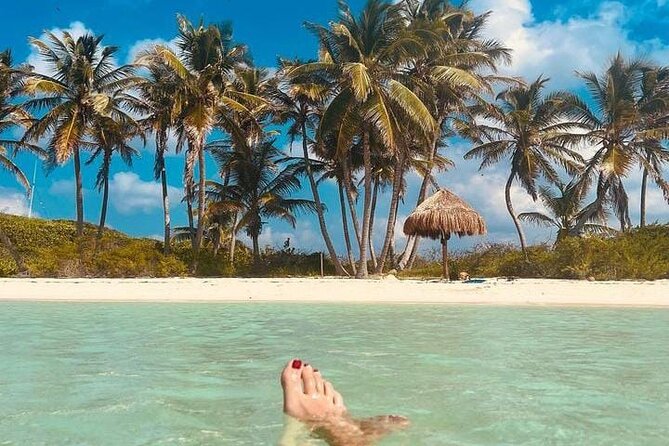 2x1 Tour: Isla Contoy, Isla Mujeres, Open Bar, Lunch and Transfers - Pricing and Cancellation