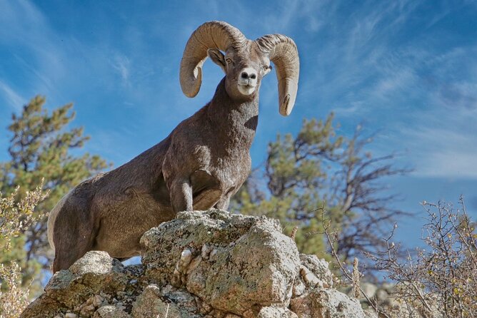 3/4 Day Rocky Mountain NP Mountain to Sky+Bear Lake Rd Tour - RMNPhotographer - Private Tour Experience