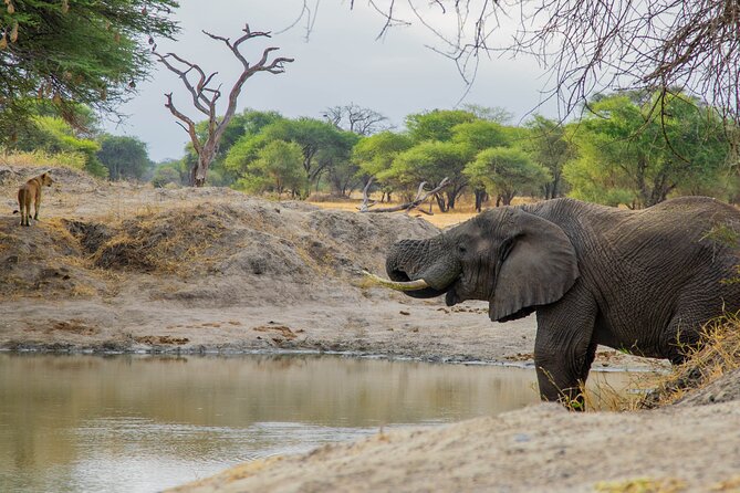 3-Day / 2 Nights Group Safari Serengeti & Ngorongoro Crater - Accessibility and Additional Info