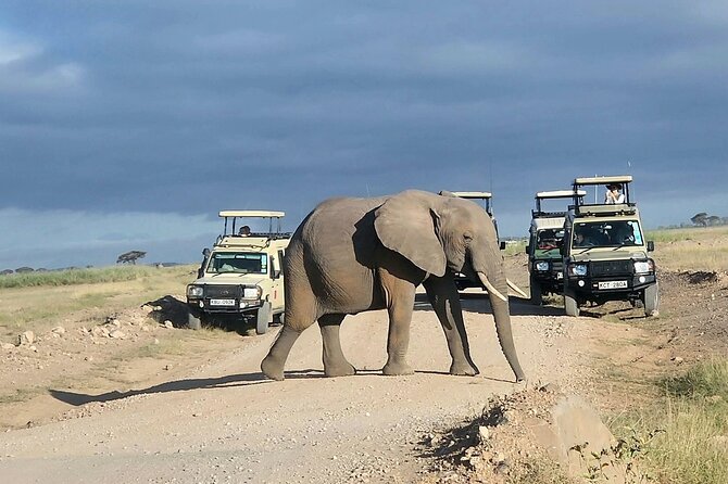3-Day Amboseli National Park Safari Tour - Accessibility Options