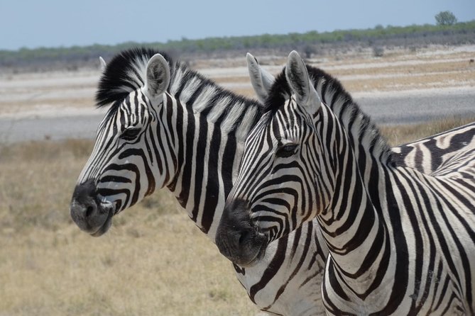 3 Day Desert Trail: Central Kalahari Game Reserve - WildCamping Safari - Complimentary Refreshments and Amenities