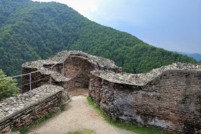 3-Day Dracula Entranced Tour From Bucharest With Transport - Reviews and Feedback