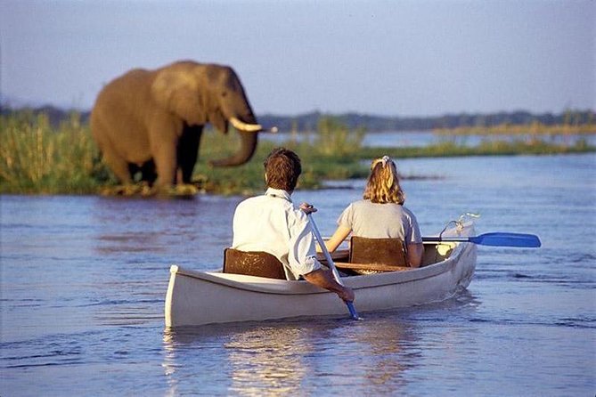 3 Day Joined Group Mid-range Safari Serengeti and Ngorongoro National Park - Health and Accessibility