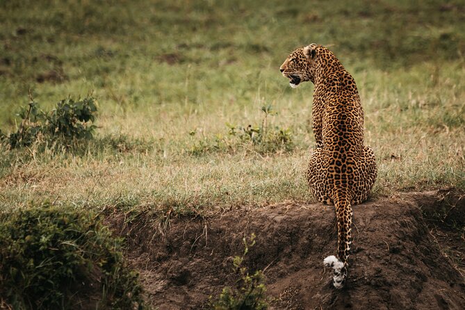 3-Day Masai Mara Luxury Safari - Pricing and Cancellation