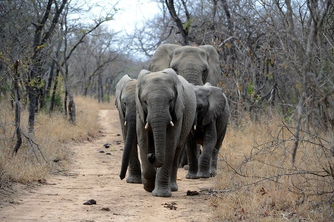 3-Day Masai Mara National Park Deluxe Tour - Booking and Confirmation Process