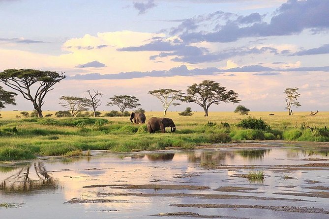 3-Day Masai Mara Safari Tour to See the Big Five and Wildebeest Migration - Group Size and Pickup