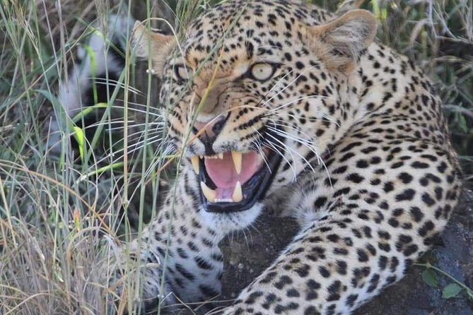 3-Day Safari to Ngorongoro, Tarangire & Lake Manyara NP - Itinerary and Inclusions