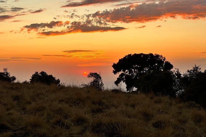 3 Day Simien Mountains Tours - Traveler Reviews and Ratings