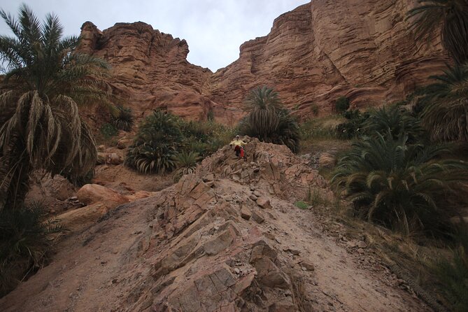 3-Day Small-Group Guided Hiking Expedition in the Sinai Desert - Travelers Recommendations and Testimonials