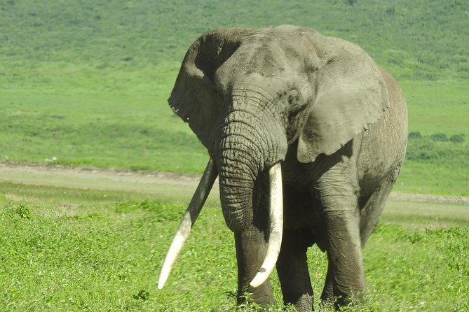 3 Day - Tarangire, Ngorongoro Crater Lake Manyara- Mid - Range - Health and Accessibility Considerations