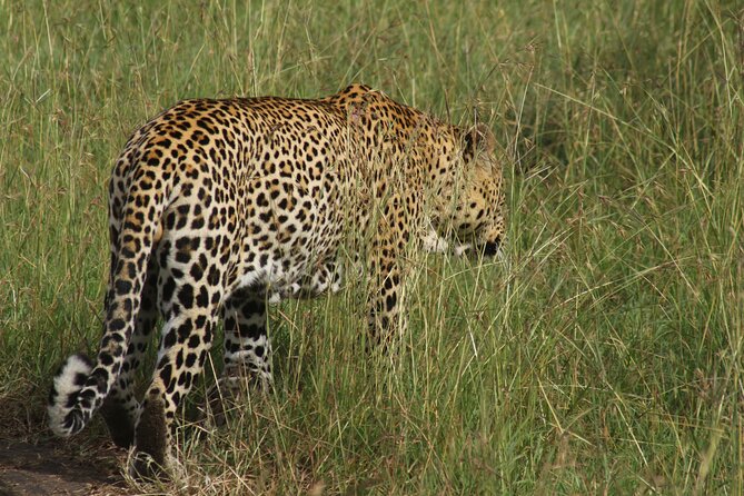 3-Day Tsavo East and Tsavo West Safari - Booking Information
