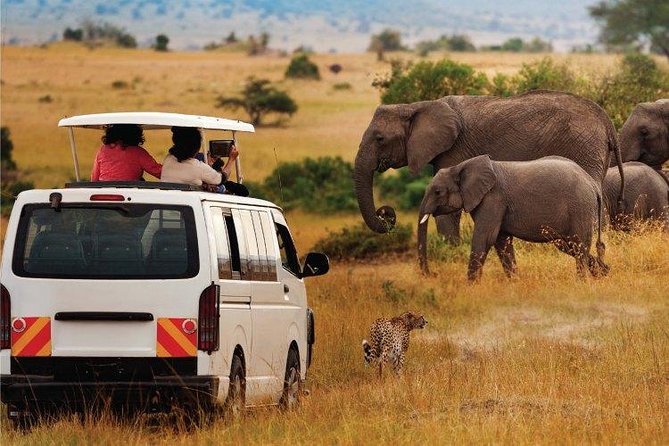 3 Days 2 Nights Amboseli Safari - Accommodation and Meals