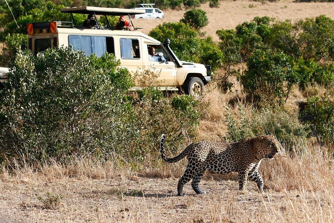 3 Days 2 Nights Masai Mara Joining Safari From Nairobi - Booking and Cancellation Policy