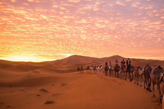 3 Days 2 Nights Trip Starting From Fez Ending in Fez via Sahara Desert Merzouga - Dining Experiences