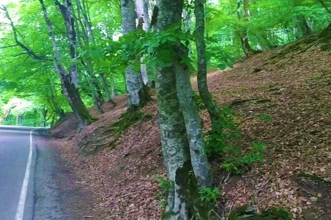 3 Days/2 Nights Vashlovani National Park Tour Package in Georgia - The Sum Up