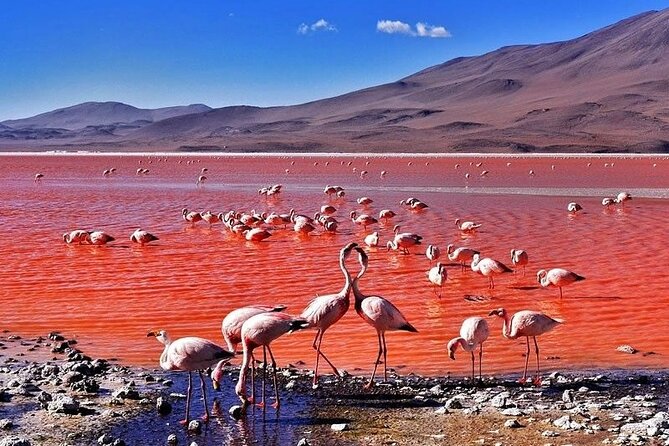 3-Days and 2-Nights Tour Salar Uyuni Ending in Atacama Chile - Questions About Your Stay