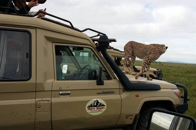 3 Days Lake Manyara, Ngorogoro Crater, Tarangire National Park - Accommodation Options