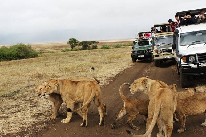 3 Days Luxury Safari Tour in Tanzania - Inclusions and Exclusions