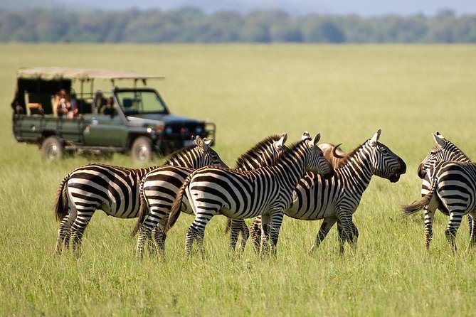 3 Days Maasai Mara From Nairobi - Maasai Village Visit